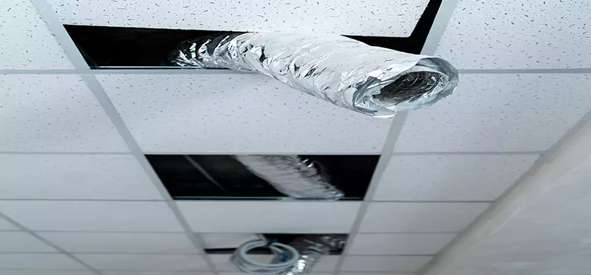 Affordable HVAC Sanitizing After Pest Removal in Riverbank