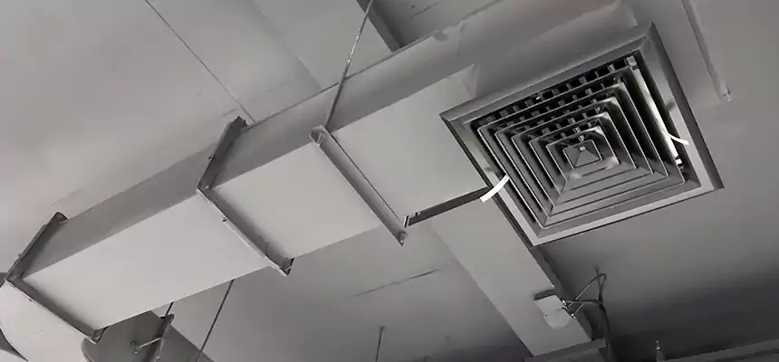 Restorative Allergy Relief Vent Cleaning – Coil, Blower & Housing Detail in Riverbank