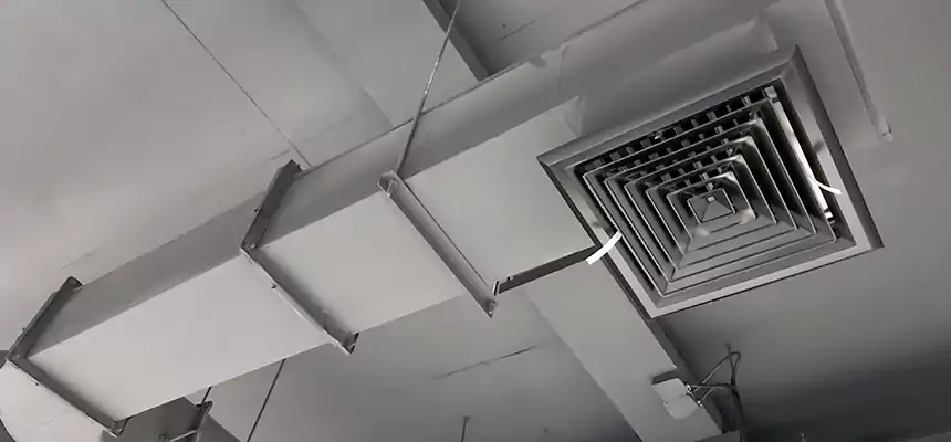 Our Pest Removal From Ducts Services in Riverbank, CA