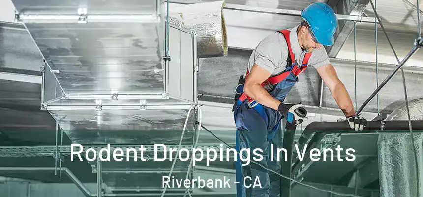  Rodent Droppings In Vents Riverbank - CA