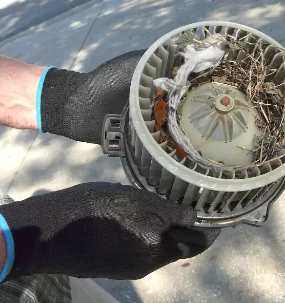 About Air Duct Rat Removal in Riverbank, CA