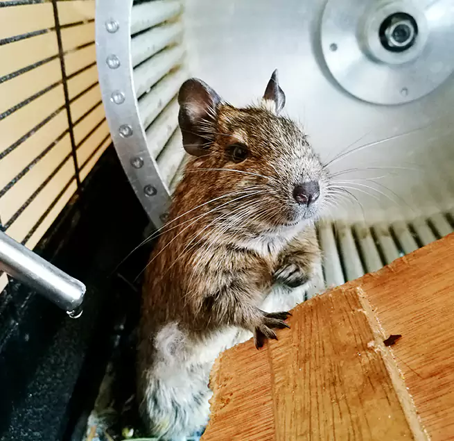 Why Homeowners & Businesses Trust Us Riverbank, CA?