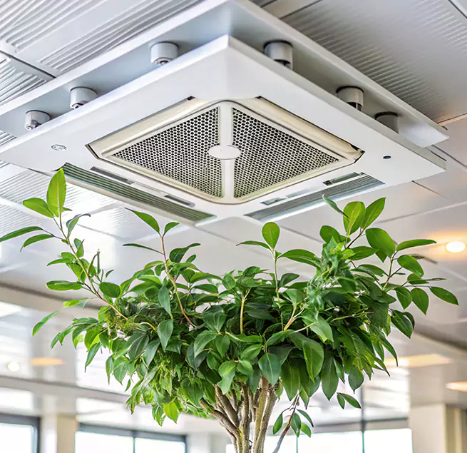 Why Homeowners & Businesses Trust Us in Riverbank, CA